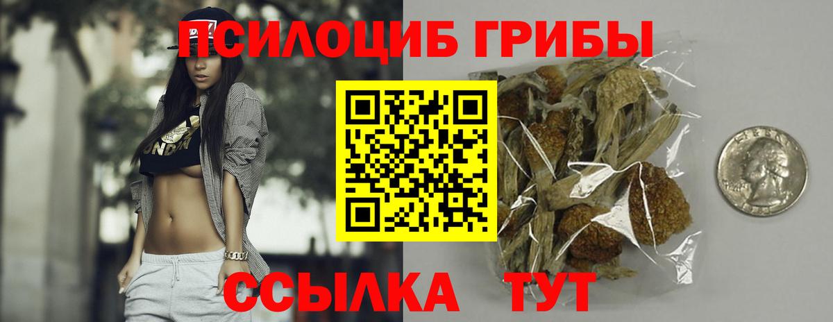 Сухой Лог  Галлюциногенные грибы MAGIC MUSHROOMS  Вход с VPN 