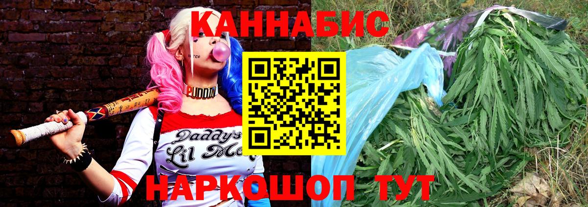 Шишки марихуана OG Kush Сухой Лог